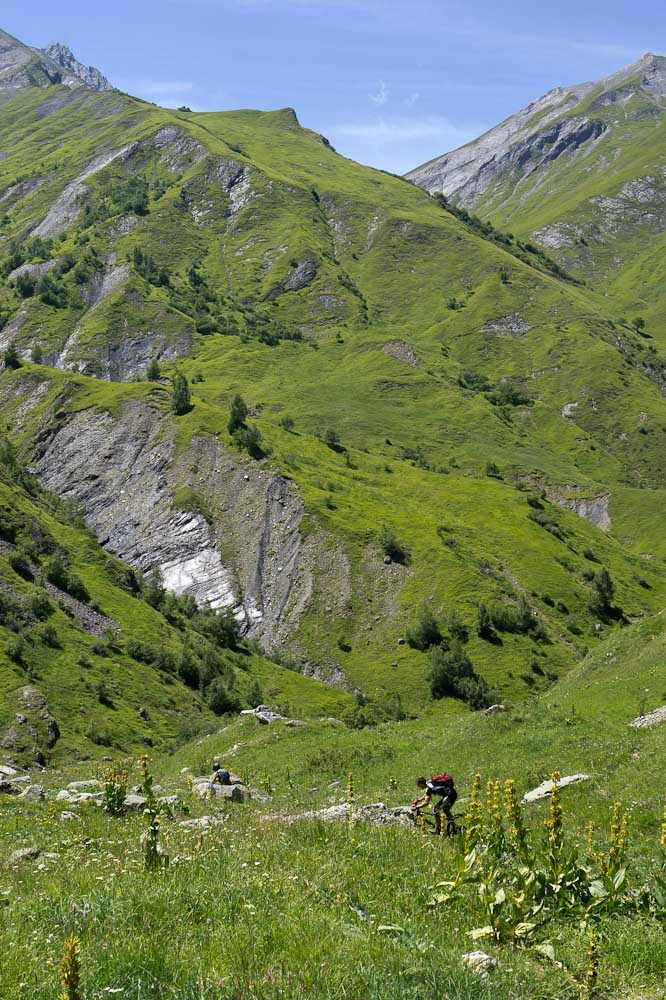 Descente vers Gitamelon : au milieu des gentianes