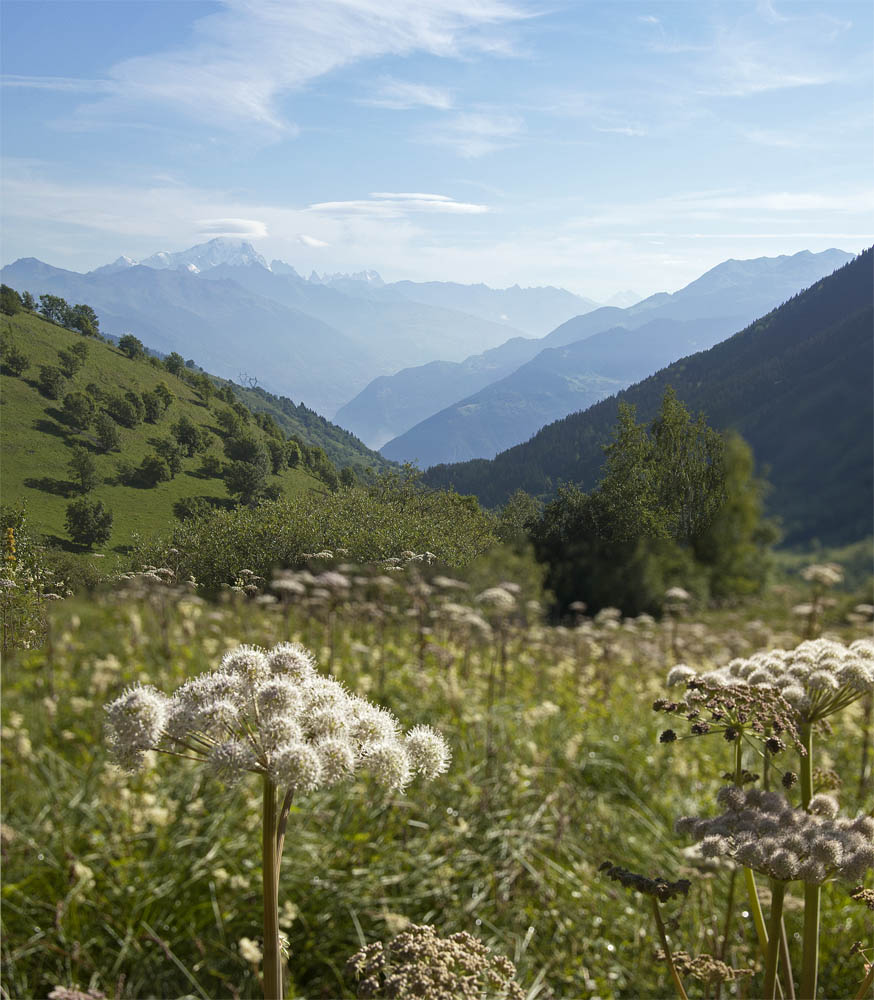 Montée à la Golette : Vue sur le Mont Blanc