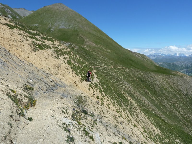 Col du Châtelard : Sentier fraîchement retaillé