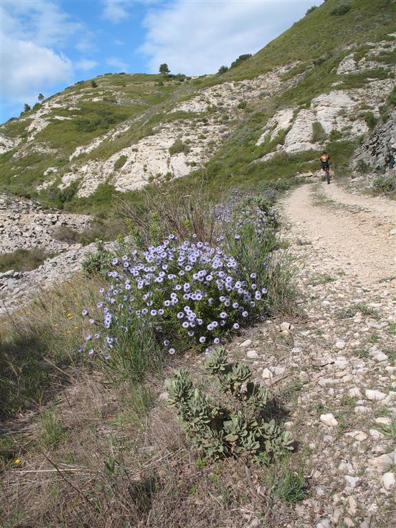 #3 Saint Rémy de provence : Piste des lombards à la montée Saint Rémy de provence : Piste des lombards à la montée