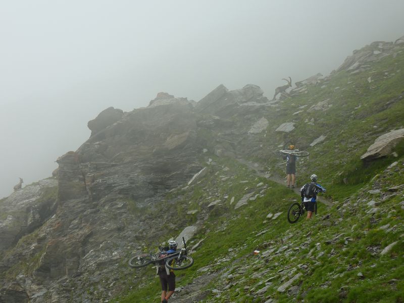 bouquetin : sur la traversée Valante > Losetta