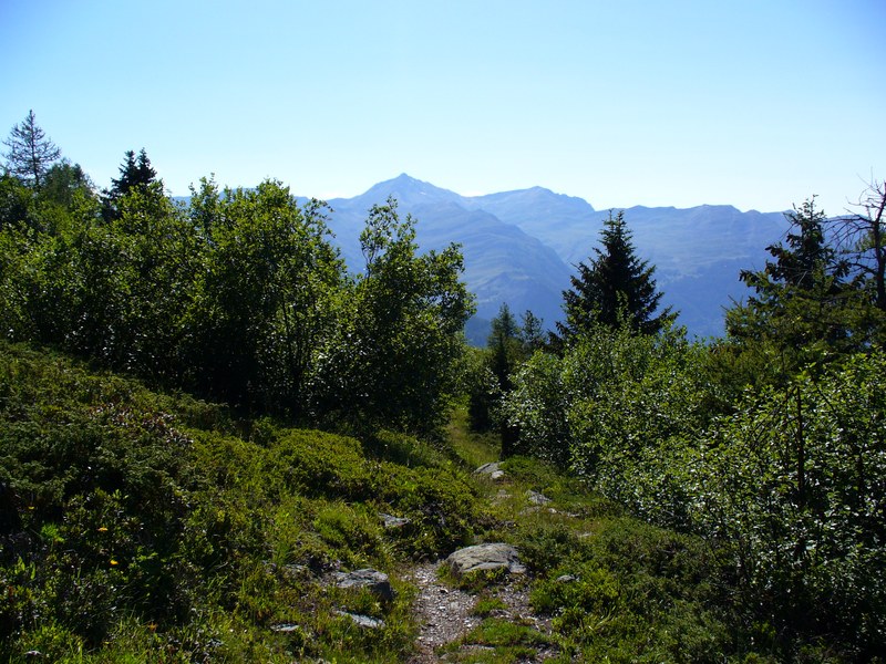 Sentier Descente : Et ainsi commence, la ludique descente sur Valmeinier ...