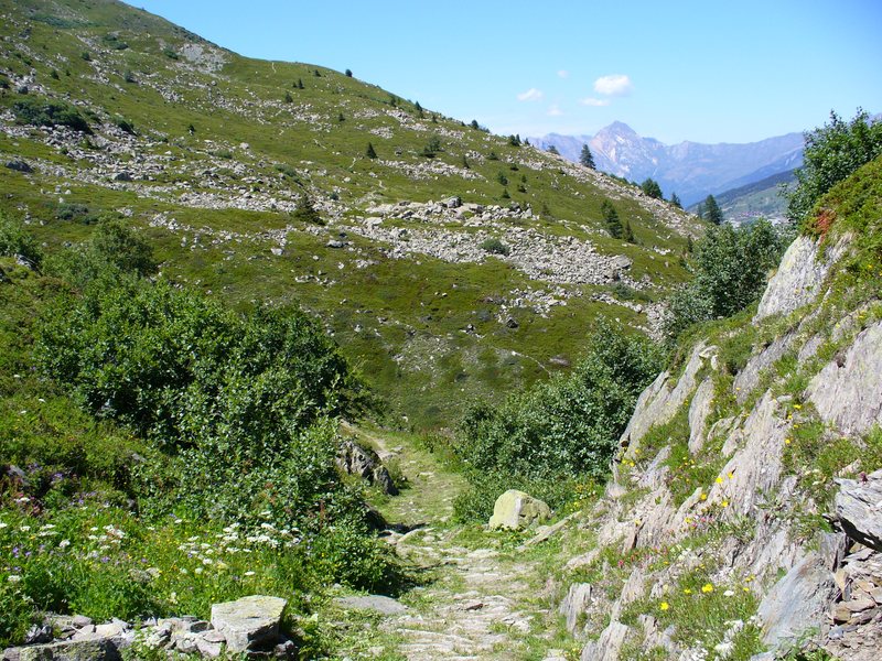 Sentier Descente : ... toute ...