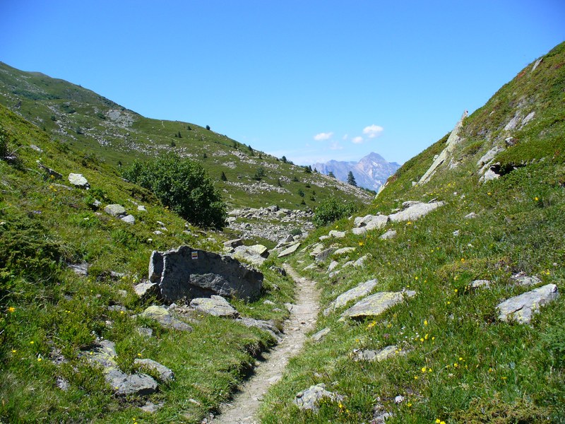 Sentier Descente : ... comme ça ...