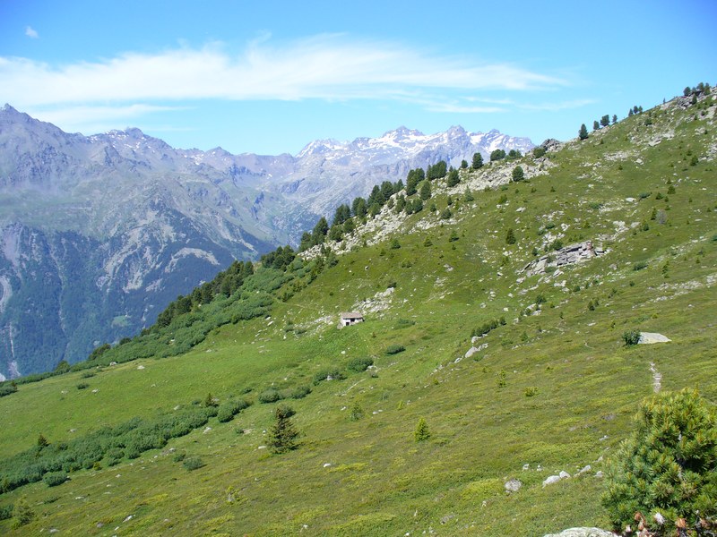 Sentier Montée : Après une triste piste, le sentier final ...