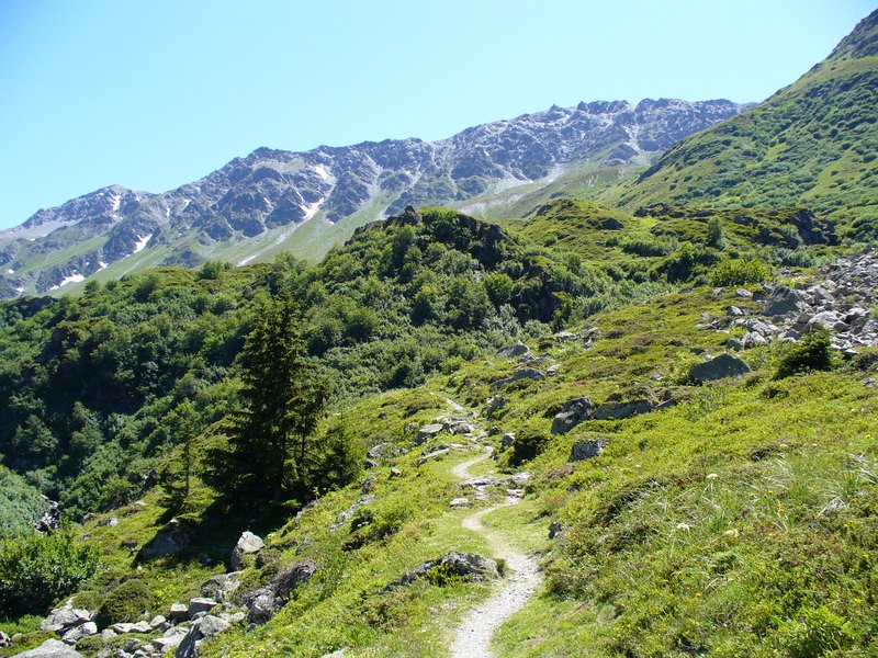 Sentier Descente : ... la descente ...