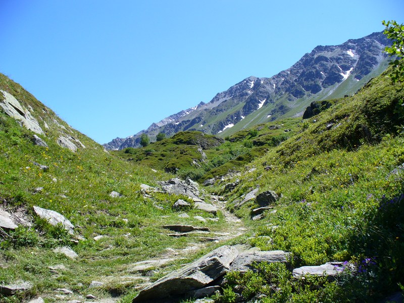 Sentier Descente : ... pendant ...