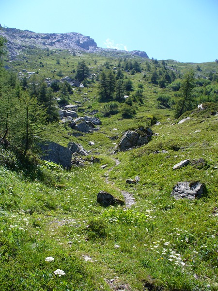 Sentier Descente : ... à souhait.