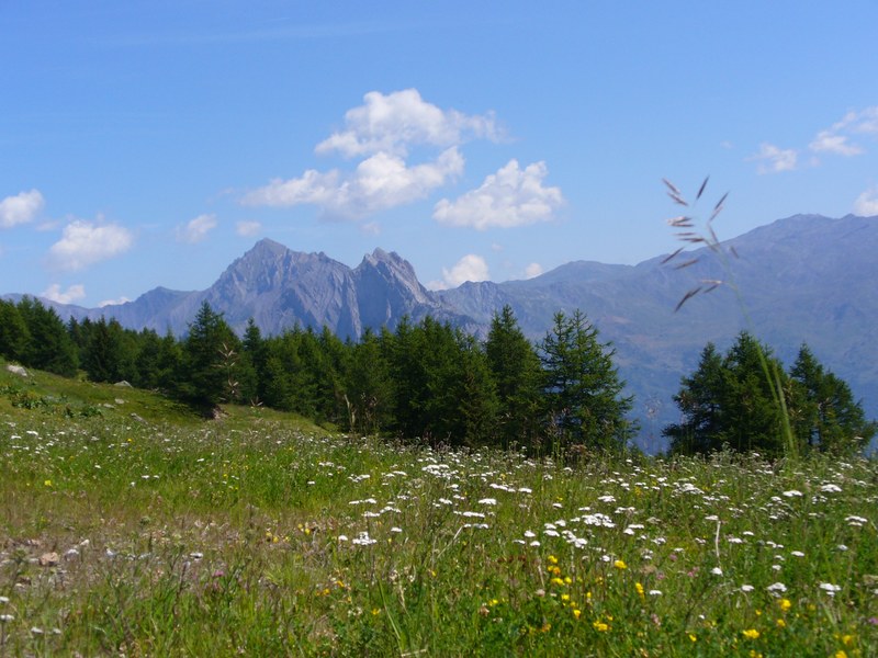 Piste Montée : Ambiance fleurie