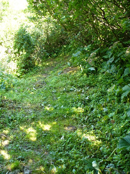 Sentier Descente : Début du single sous la Croix