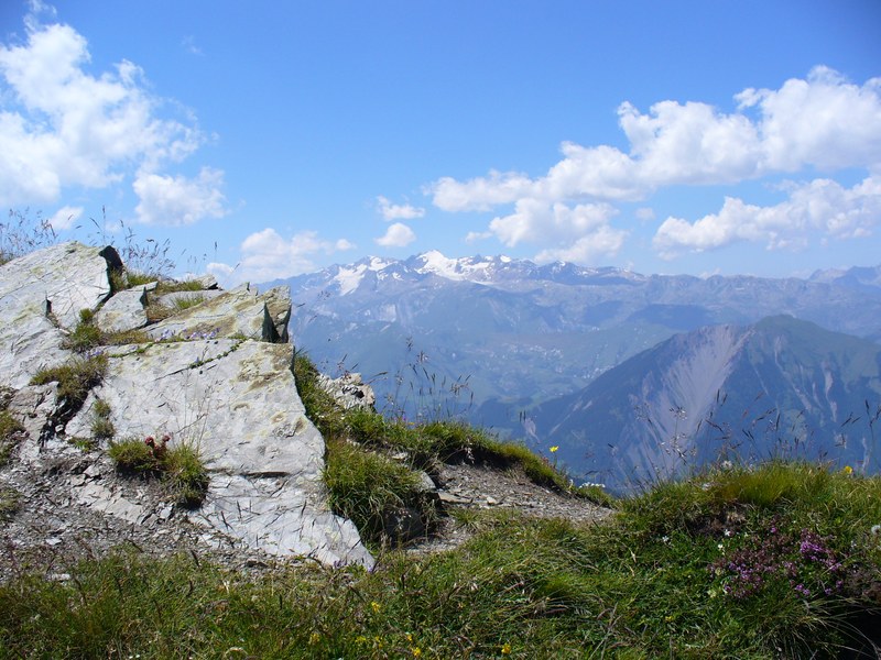 #15 Casse Massion : Panorama Casse Massion : Panorama