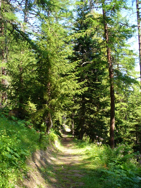#7 Sentier Montée : Direction les Archères ... Sentier Montée : Direction les Archères ...