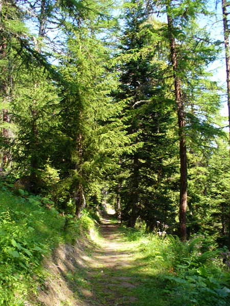 Sentier Montée : Direction les Archères ...