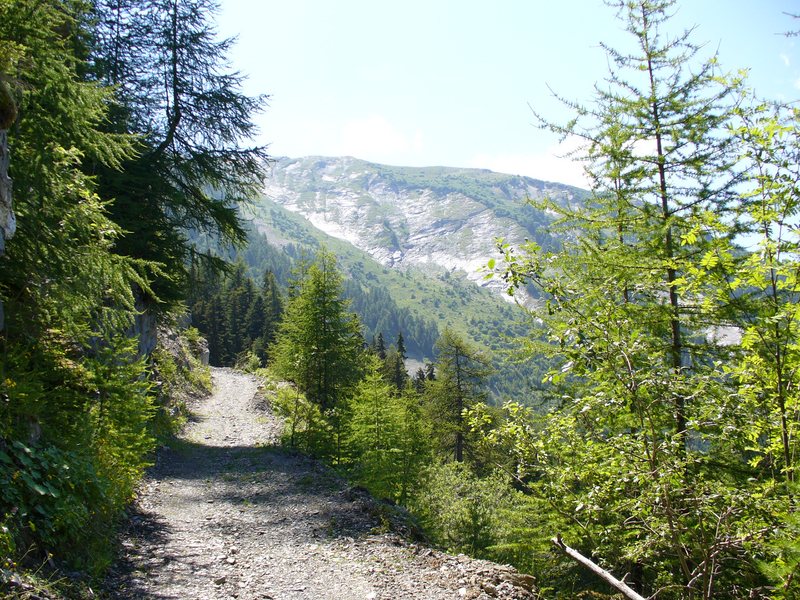 Sentier Descente : Piste de remontée sur la Croix d'Albiez