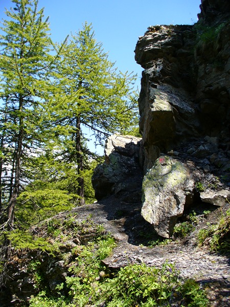 Sentier Descente : Les quelques barreaux à grimper