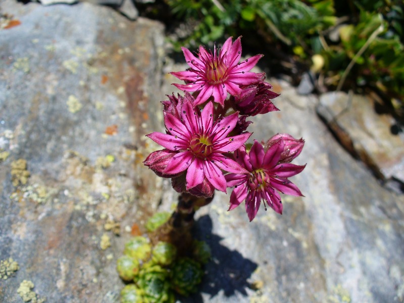 #24 Point 2241 : Au milieu des rochers Point 2241 : Au milieu des rochers