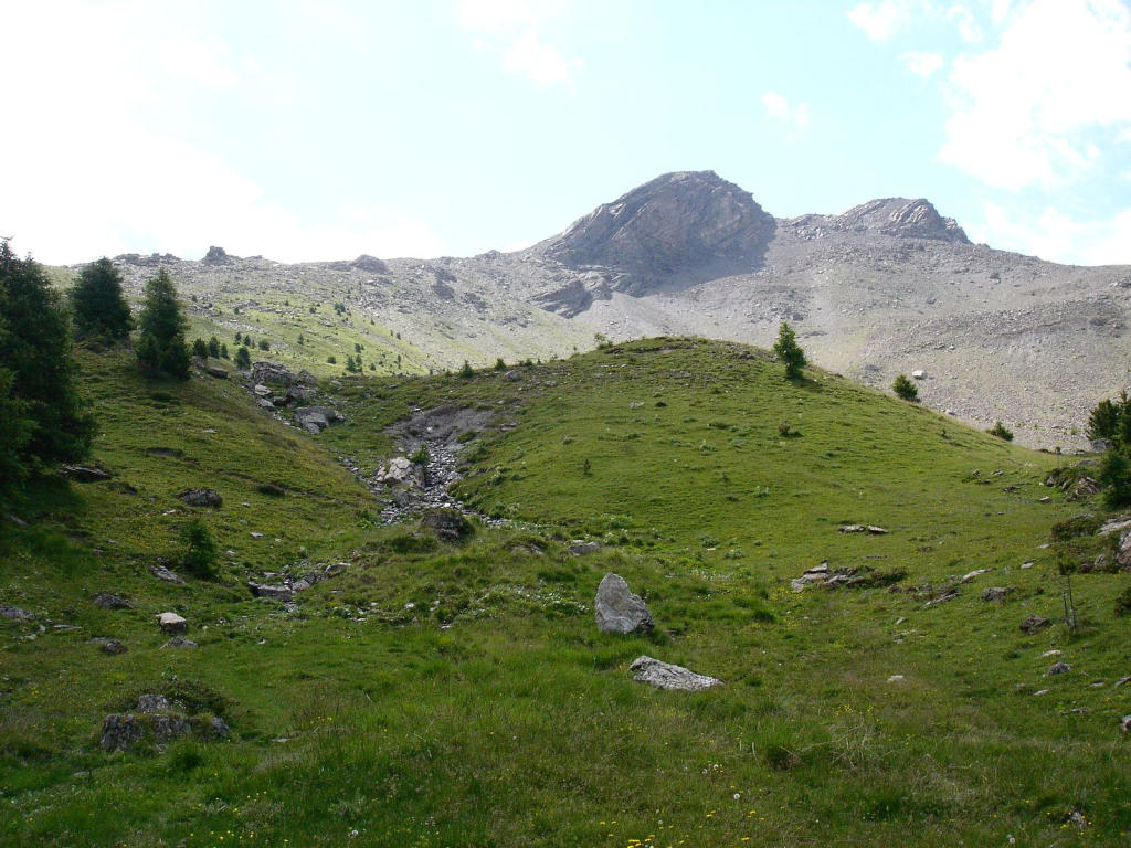 #1 Objectif : Au sortir de la forêt, les 2 oreilles caractéristiques du Boussolenc Objectif : Au sortir de la forêt, les 2 oreilles caractéristiques du Boussolenc