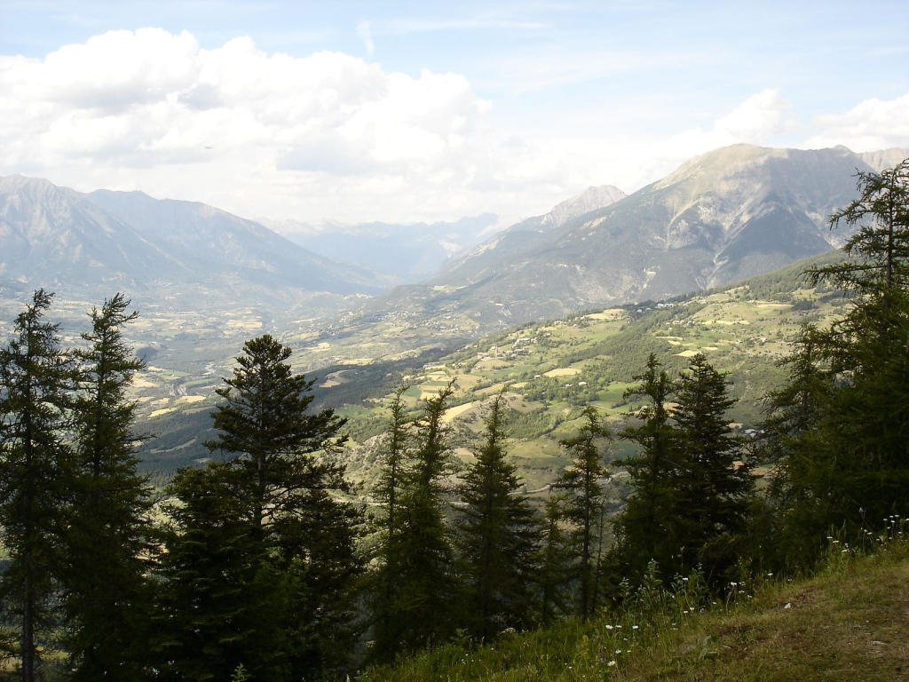 #16 Plaine : Cultures Plaine : Cultures