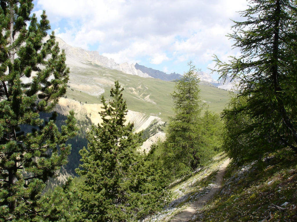 #6 Direction : les chalets des Thures Direction : les chalets des Thures