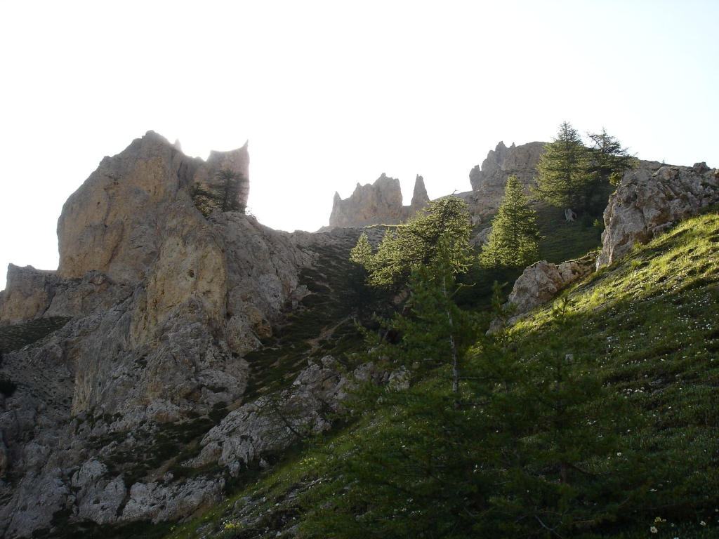 #18 Décor : pas en carton! Décor : pas en carton!