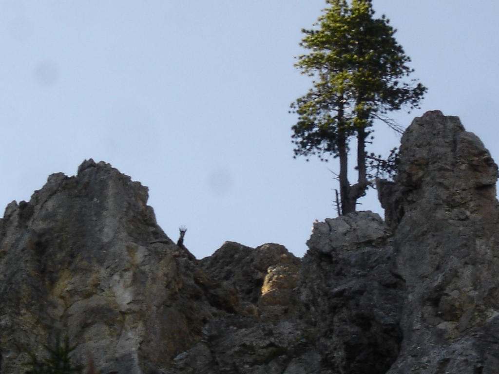 #17 Espion : plus à l Espion : plus à l'aise que moi!