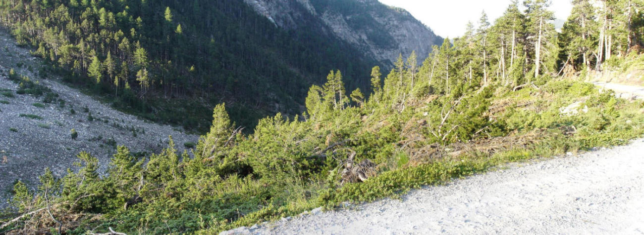 #14 Toujours impressionnant : dégâts causés par les avalanches Toujours impressionnant : dégâts causés par les avalanches