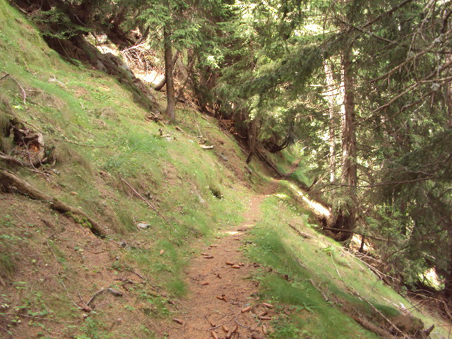 #8 montée : roulant par moment montée : roulant par moment