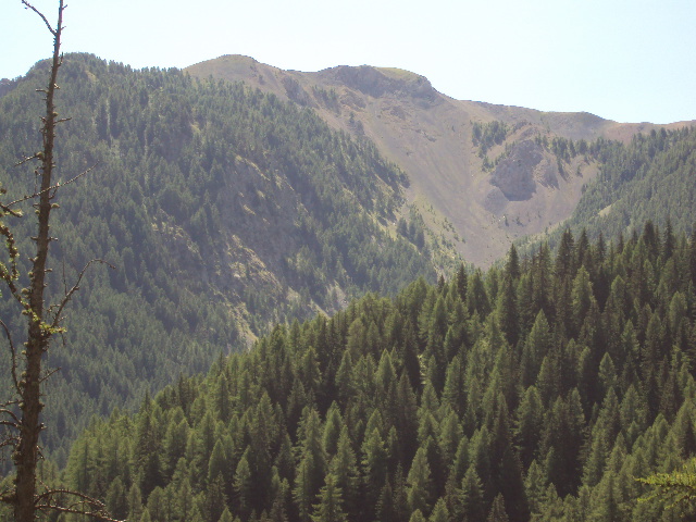 #5 montée : mont gravière montée : mont gravière