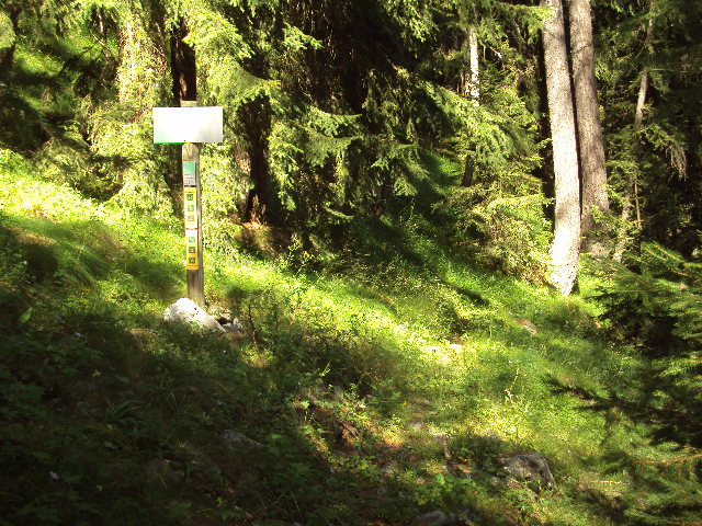 #2 montée : chemin de l montée : chemin de l'infernet au bout de la piste