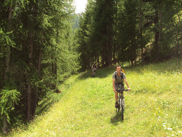 #13 descente : sous bois descente : sous bois