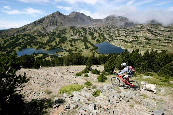 #5 LA photo : Classique mais super beau ! LA photo : Classique mais super beau !