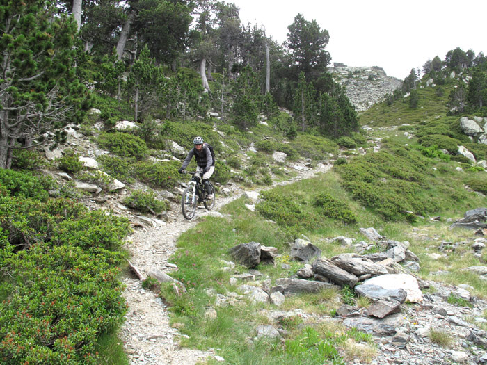 #11 Descente : dans la vallée Descente : dans la vallée