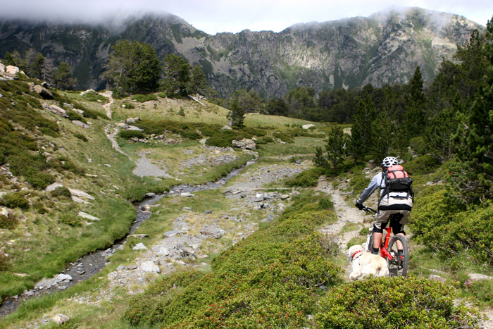 #12 Descente : C Descente : C'est aussi beau en été qu'en hiver