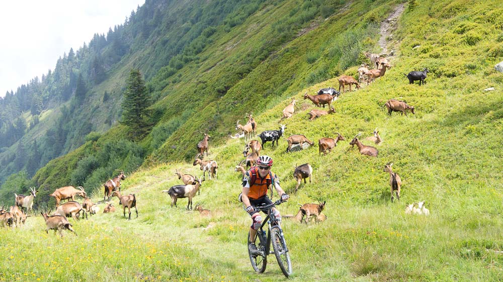 Sous Roche Pourrie : dernière petite bosse du jour