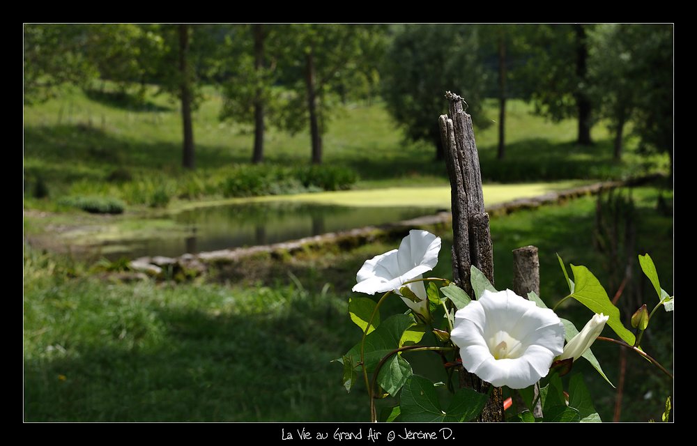 #6 reposant le décor... reposant le décor...