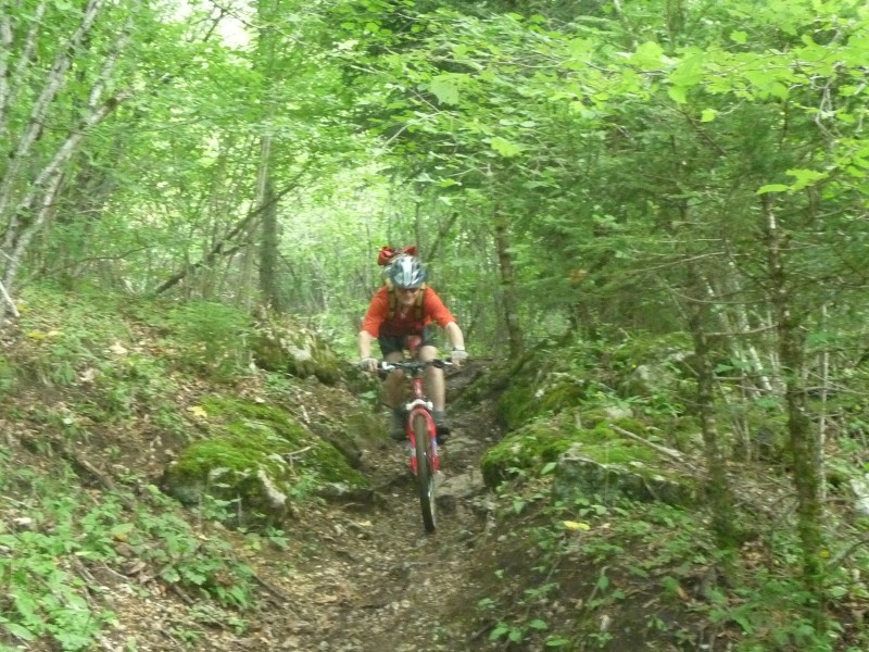 #8 A travers les bois : Descente singles boisés A travers les bois : Descente singles boisés