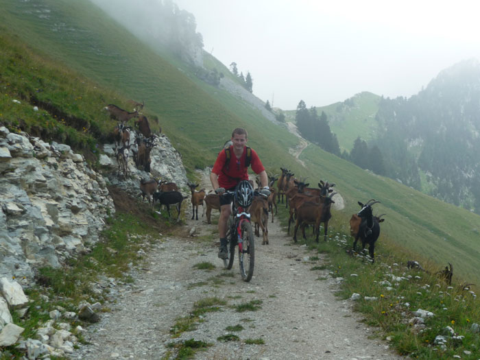 #6 Les biquettes et le VTT : Peter et ses admiratrices :) ! Les biquettes et le VTT : Peter et ses admiratrices :) !