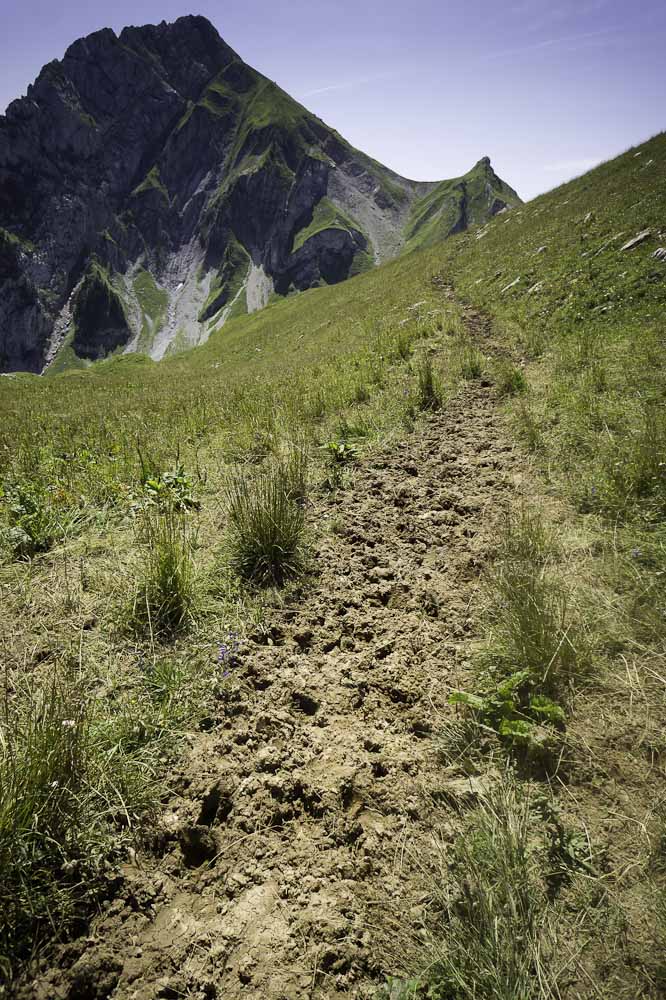 #6 ce qu ce qu'il reste du sentier : vers le Bonnet de tirebras