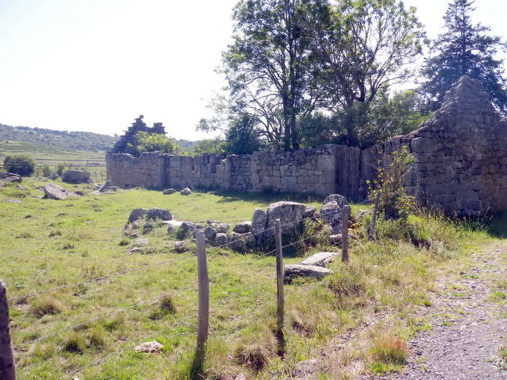 Ruine : Ancien "buron"
