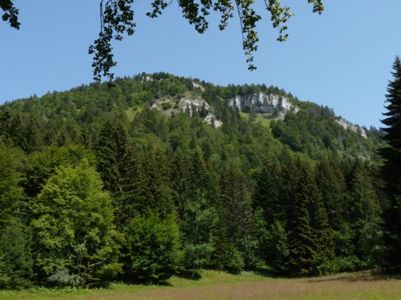 #5 Montfromage : versant SO Montfromage : versant SO