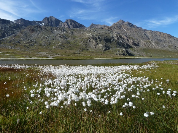 #5 Rubren-Salsa : Lac du Longet Rubren-Salsa : Lac du Longet
