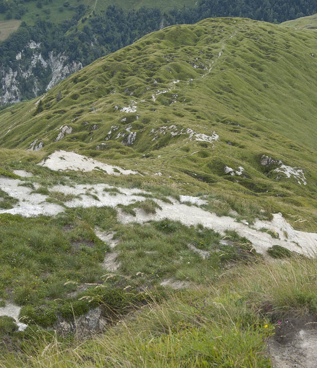 #7 Pointe du daillet : Terrain gypseux Pointe du daillet : Terrain gypseux