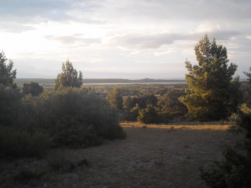 Capitelle bis : La vue depuis la bergerie.