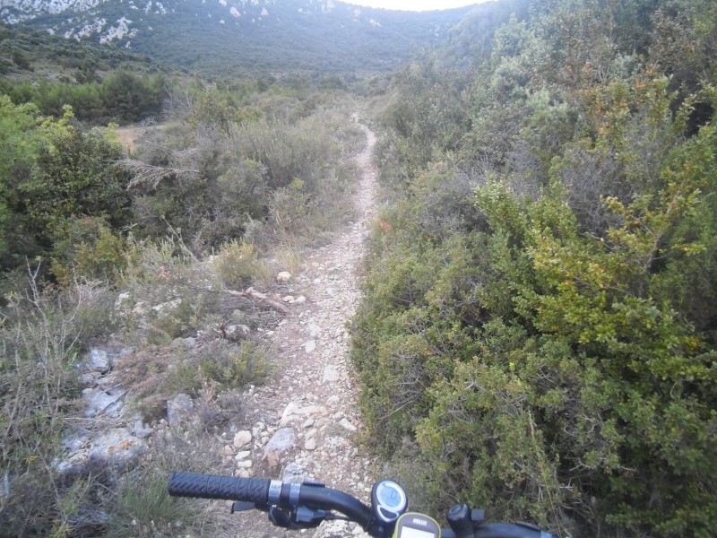 le sentier de montée : Le sentier sous le col de Feuilla. Ça roule.