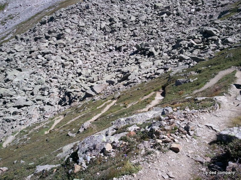 Col 2600 de Becca Refreita : Entre 2 pierriers, le sentier se fraye un "joli" chemin dans l'herbe grasse. Épingles trop tendues pour ma part...