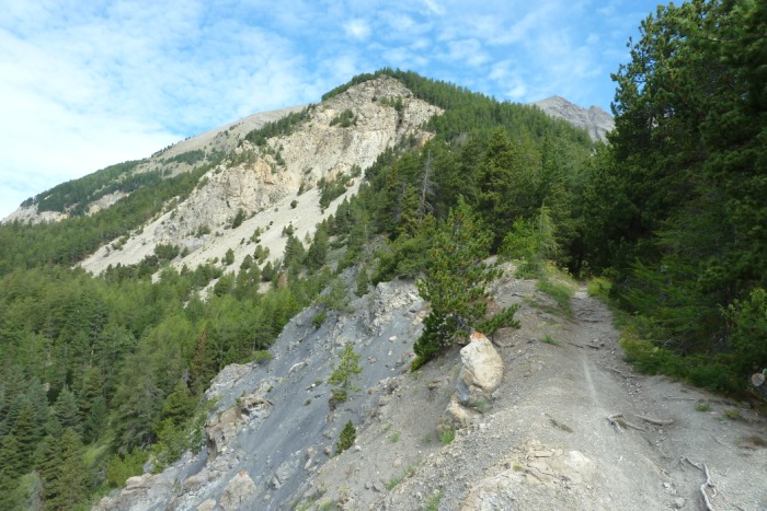 #10 Robines : Un passage court dans la descente en bordure de robines Robines : Un passage court dans la descente en bordure de robines