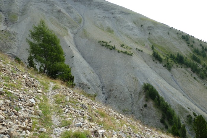 Crête de Rasinière : Voilà la combe la plus grande et la plus expo