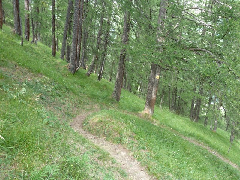 #20 Les Haudères : Sentier ludique dans les mélèzes au dessus des Haudères Les Haudères : Sentier ludique dans les mélèzes au dessus des Haudères