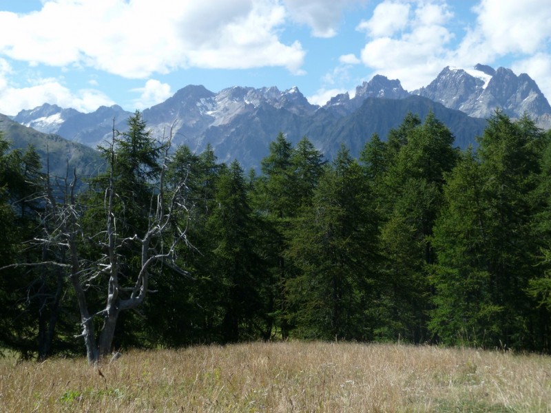 #4 Les Ecrins : je les met pas toutes, c Les Ecrins : je les met pas toutes, c'est paysage à 360°