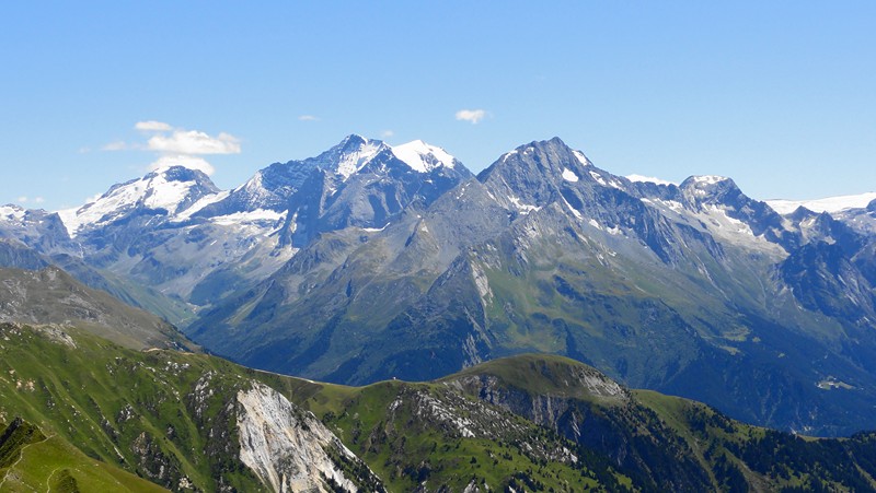 grande casse et grand bec : en visu toute la journée